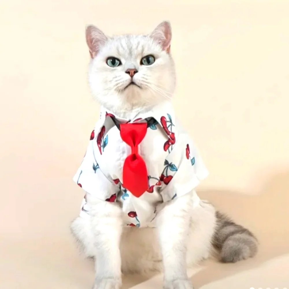Pet Clothes